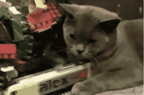 A cat being hit by a toy train