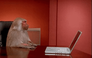 A monkey throwing a computer