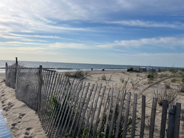 My morning coffee walk on Rehoboth Beach