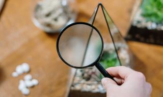 A magnifying glass