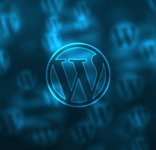 The WordPress logo on a blue background