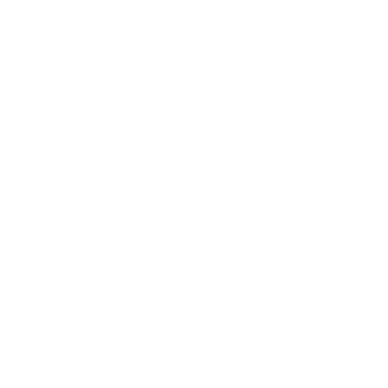 IIT Logo