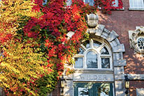 A tree showing Fall colors in front of a building at Dartmouth